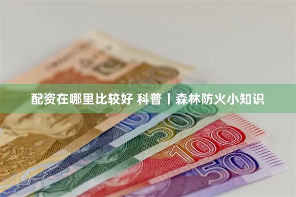 配资在哪里比较好 科普丨森林防火小知识