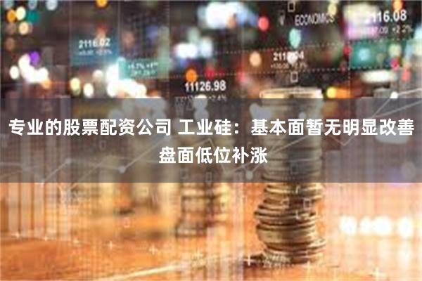 专业的股票配资公司 工业硅：基本面暂无明显改善 盘面低位补涨