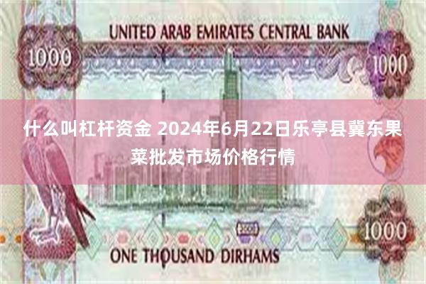 什么叫杠杆资金 2024年6月22日乐亭县冀东果菜批发市场价格行情