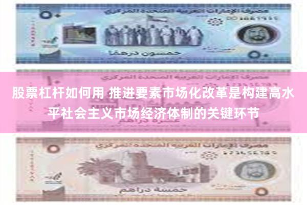 股票杠杆如何用 推进要素市场化改革是构建高水平社会主义市场经济体制的关键环节