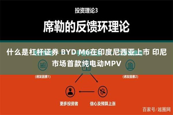 什么是杠杆证券 BYD M6在印度尼西亚上市 印尼市场首款纯电动MPV