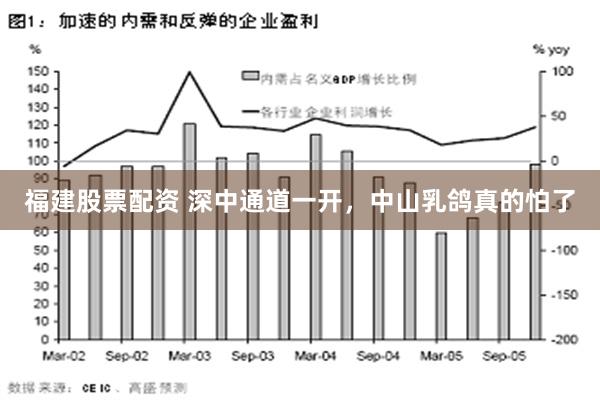 福建股票配资 深中通道一开，中山乳鸽真的怕了