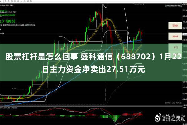 股票杠杆是怎么回事 盛科通信（688702）1月22日主力资金净卖出27.51万元